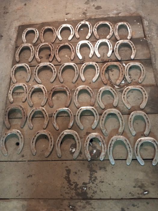 Podkowy końskie promocja