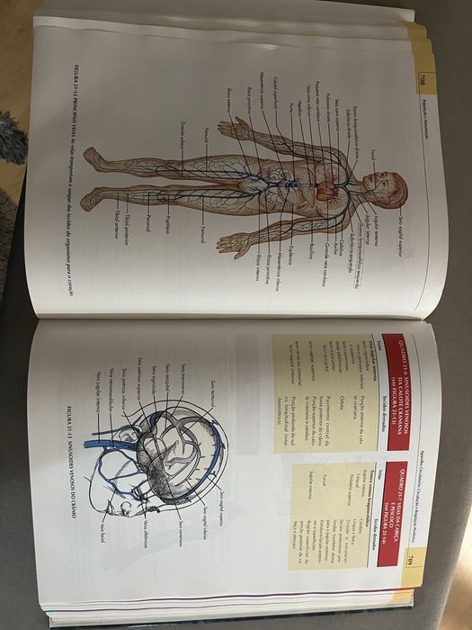 Manual de Anatomia