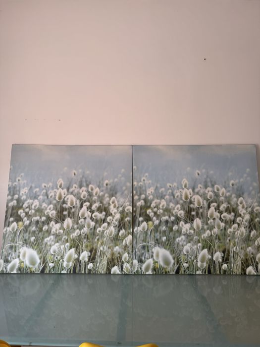 Dois quadros com desenhos de flores