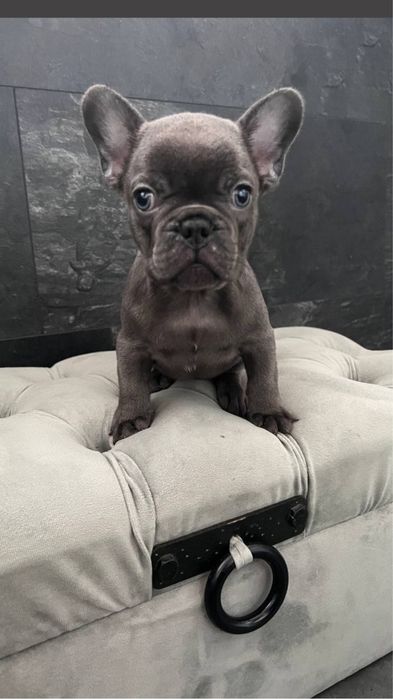 Міні міні хлопчик блакитного кольору, ніжний і лагідний хлопчик