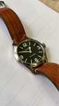 Glycine incursore, unitas 6497.