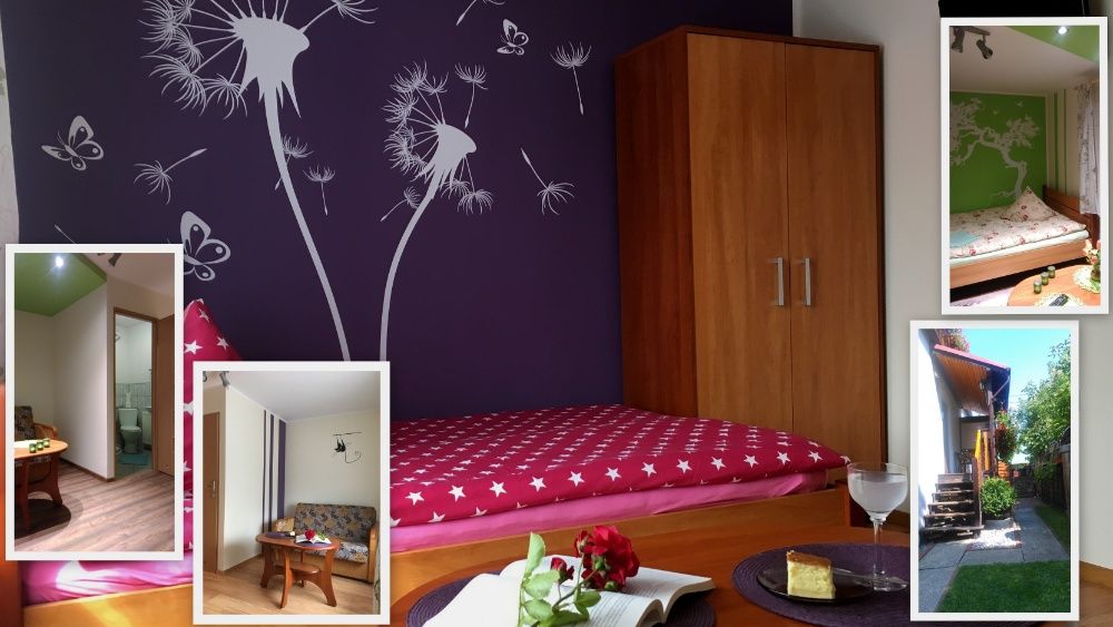Willa 7 Kotów - apartament/pokoje - Karpacz/Karkonosze