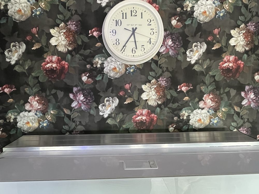 Akwarium Aquael Glossy 260 komplet z życiem