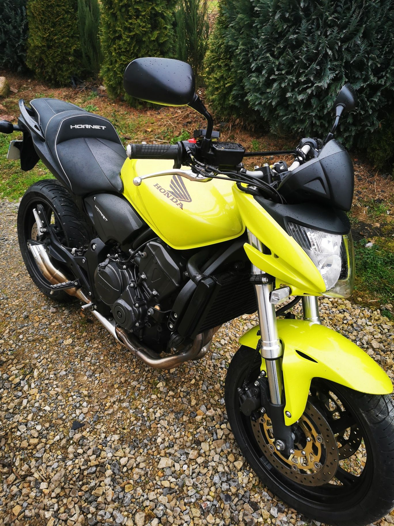 Honda hornet pc41 2010r