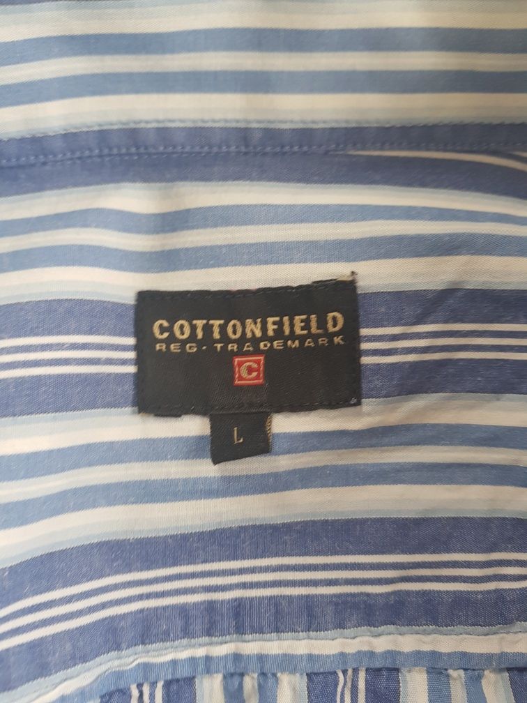 Koszula w paski rozmiar L, Cottonfield