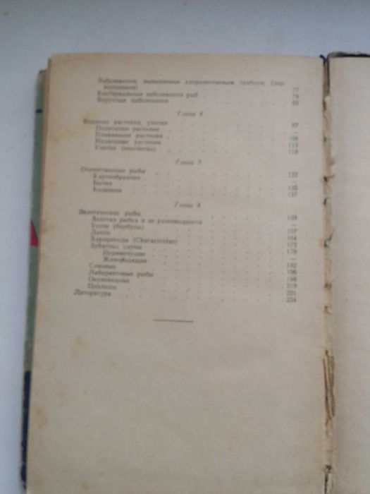 Комнатный аквариум