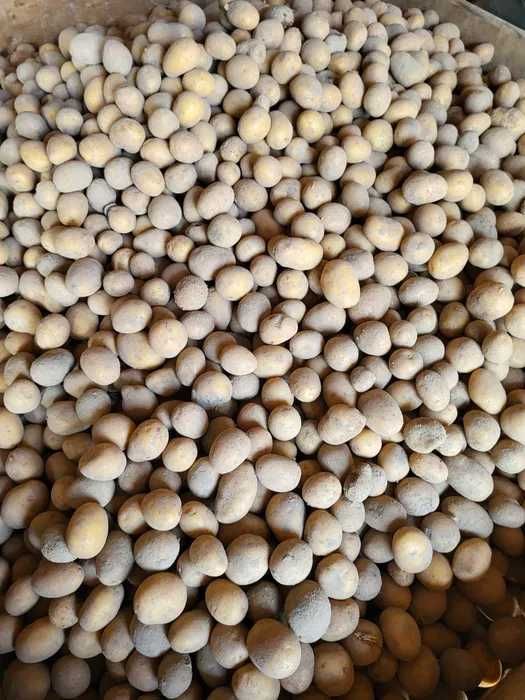 Ziemniaki odpadowe paszowe