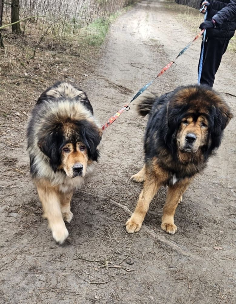 Lusia & Sziro Dom na ostatnią drogę