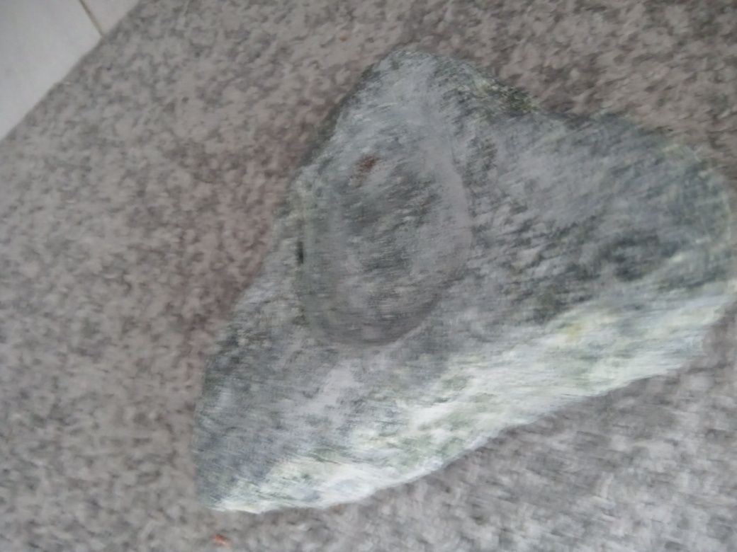 Kamień karmnik na robaki dla jaszczurki gekona