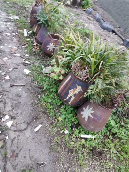 Vendo vasos como novos