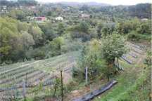 Terreno  para venda
