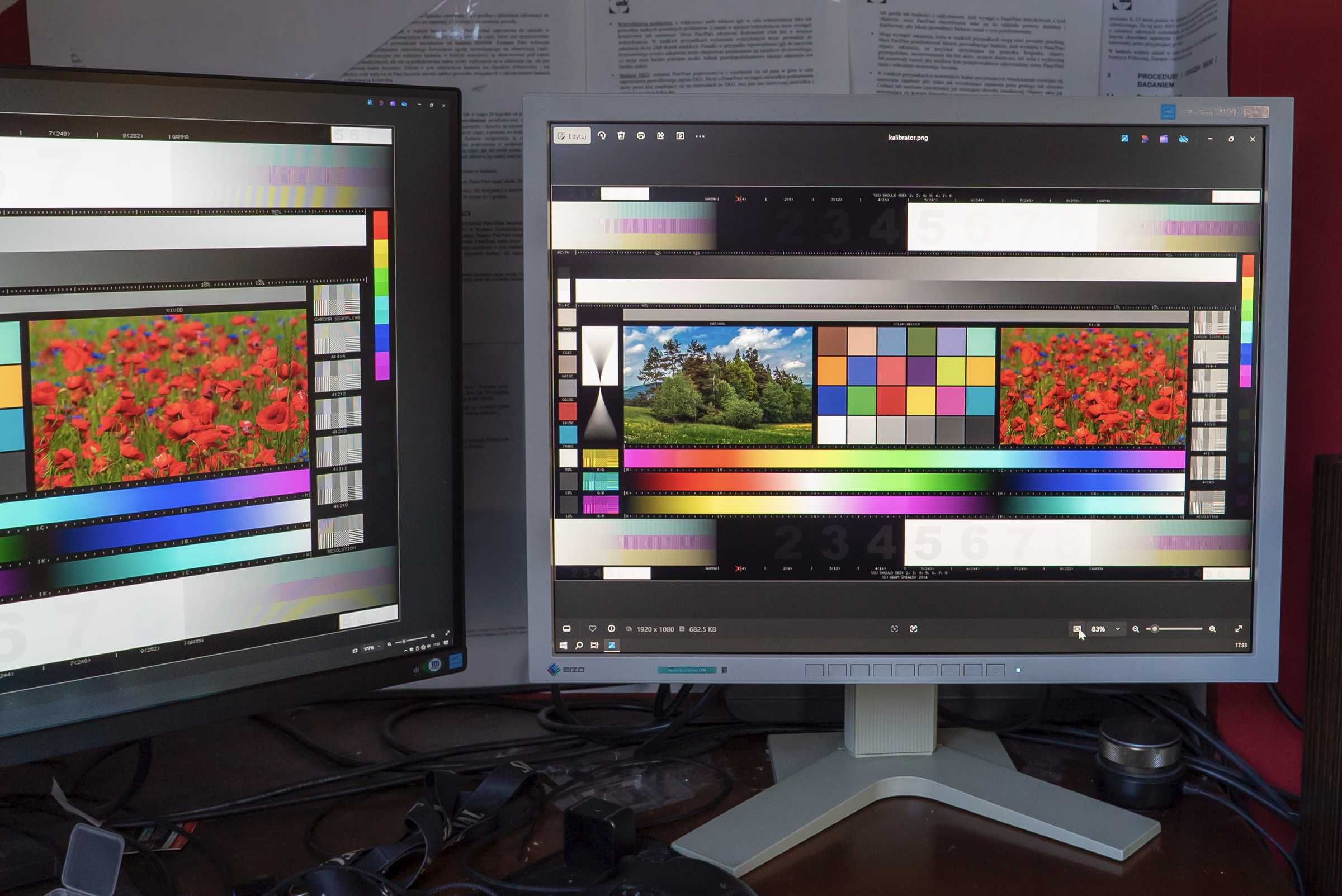 Monitor EIZO FlexScan S2100/zdjęcia/grafika