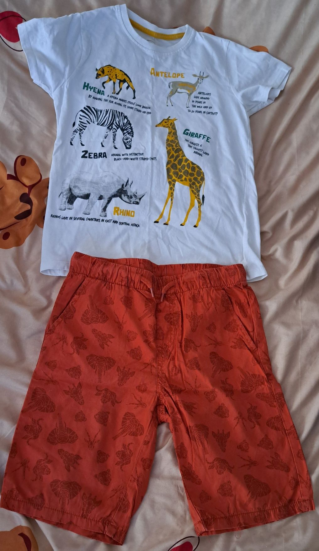 Komplet chłopięcy koszulka spodenki 134 cm safari