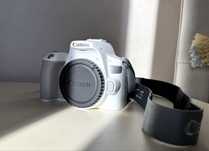 Canon EOS 250D +EF-S 18-55mm f/4-5.6 IS STM +EF 50mm f/1.8 STM