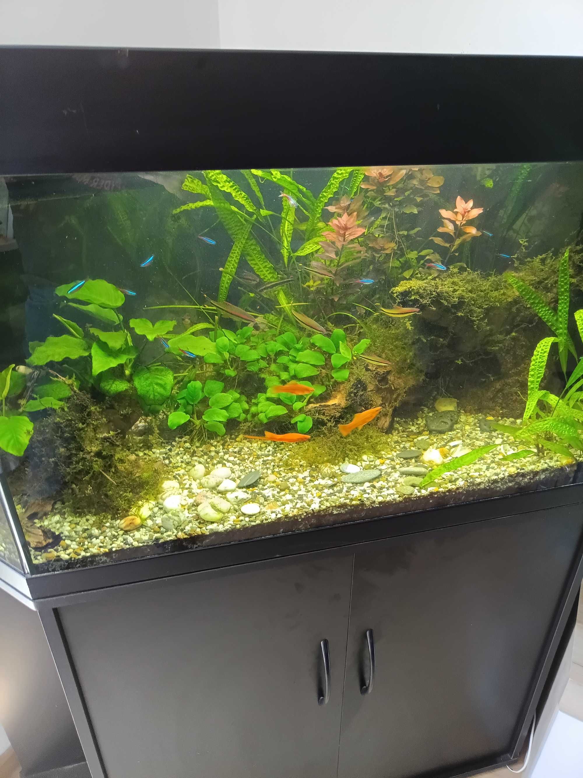 Filtr Aquael unimax 500