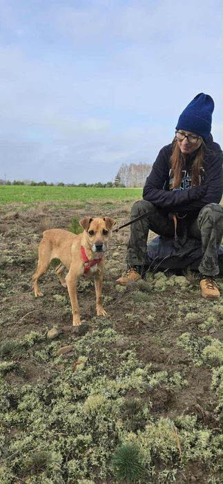 Malutki Kuśko ,szuka domu.