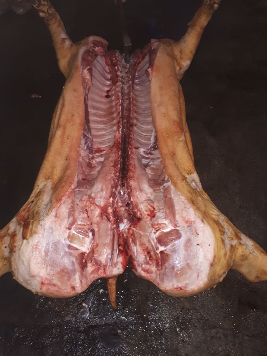 Свинина, мясо частями, полутуши свинные, мясо свиное частями