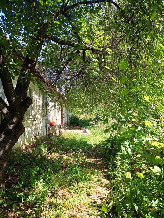 Продам земельну ділянку в Ставищах