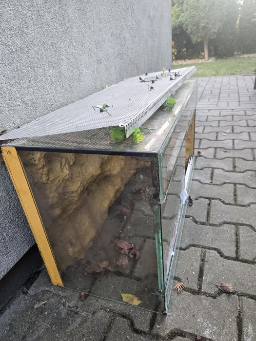 Terrarium dla zolwia jaszczurki