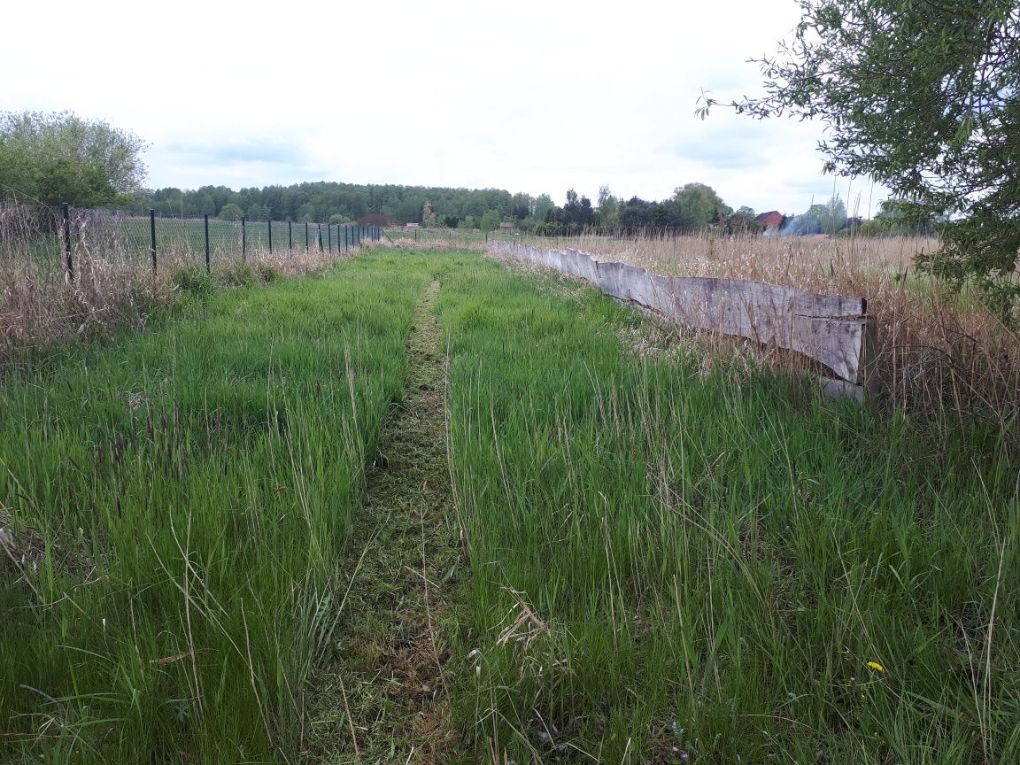 PILNIE- Działka 6800m2 z widokiem na- Zalew Szczeciński-prąd