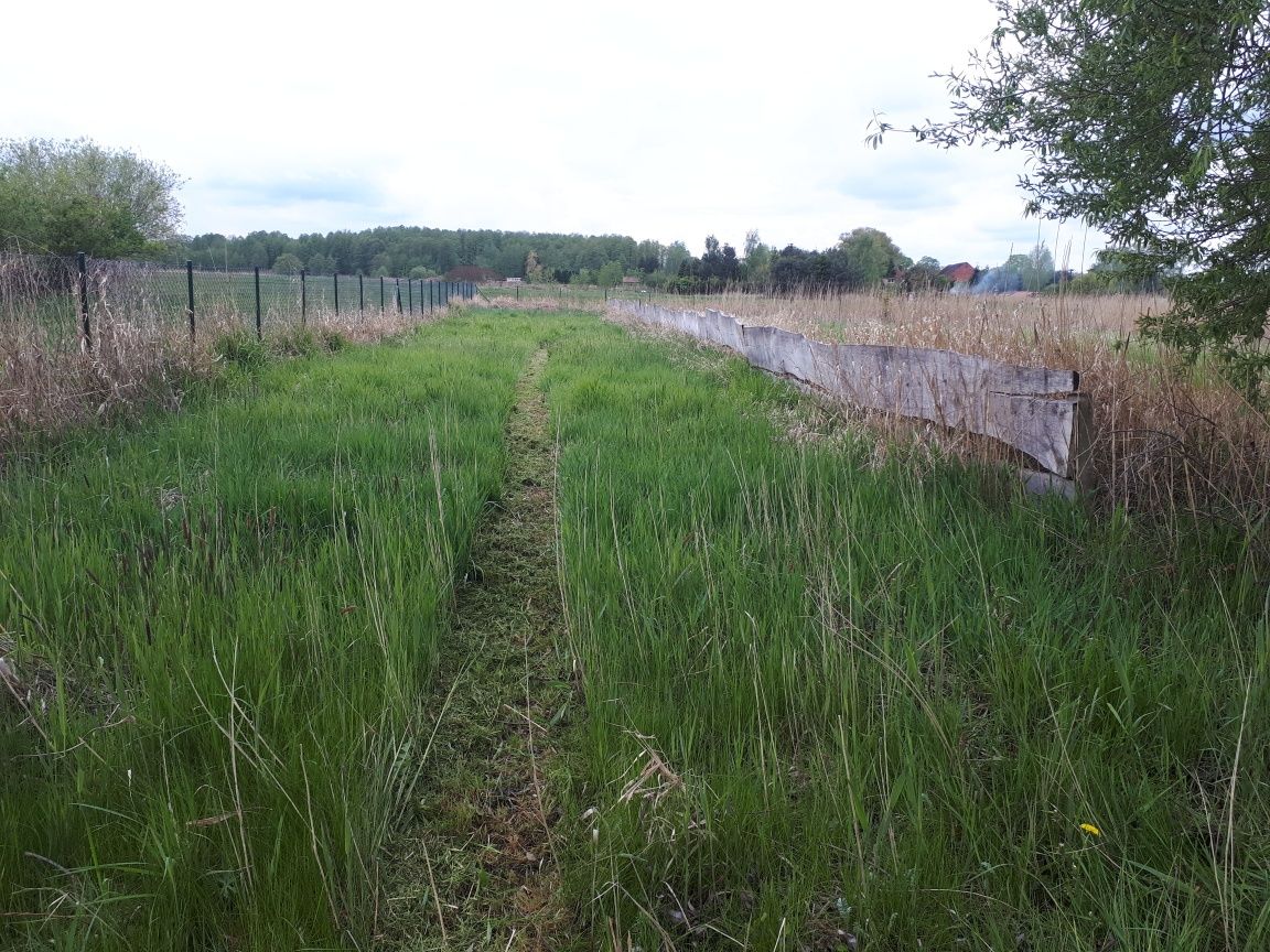 Działka 6800m2 z widokiem na wodę - Zalew Szczeciński-prąd