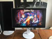 Monitor LCD Eizo EV2456 24,1 " 1920x1200 IPS Białe i czarne FV23% Wys
