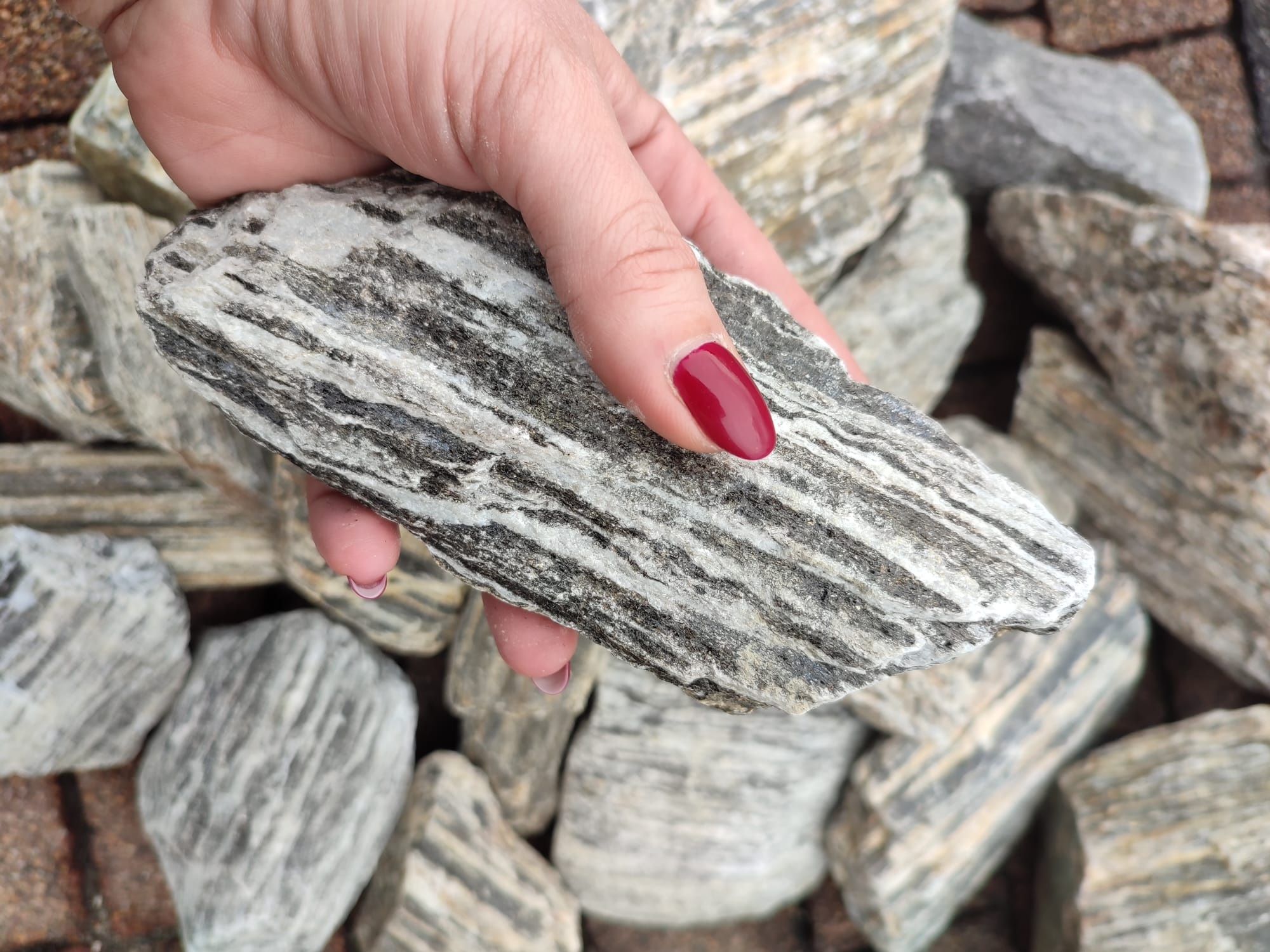 Grys granitowy DALMATYŃCZYK Kamień ozdobny TRANSPORT