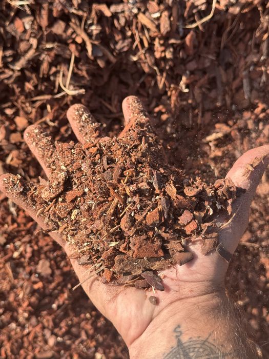 Casca de Pinho - Mulch