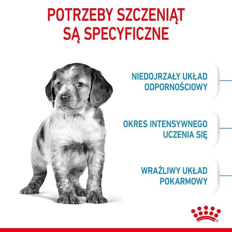 Karma dla psa Royal Canin Medium Puppy / Junior 15kg OKAZJA!!!