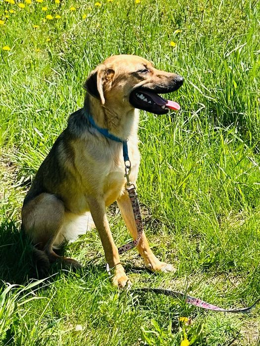 Kochana Cola rozgląda się za domem