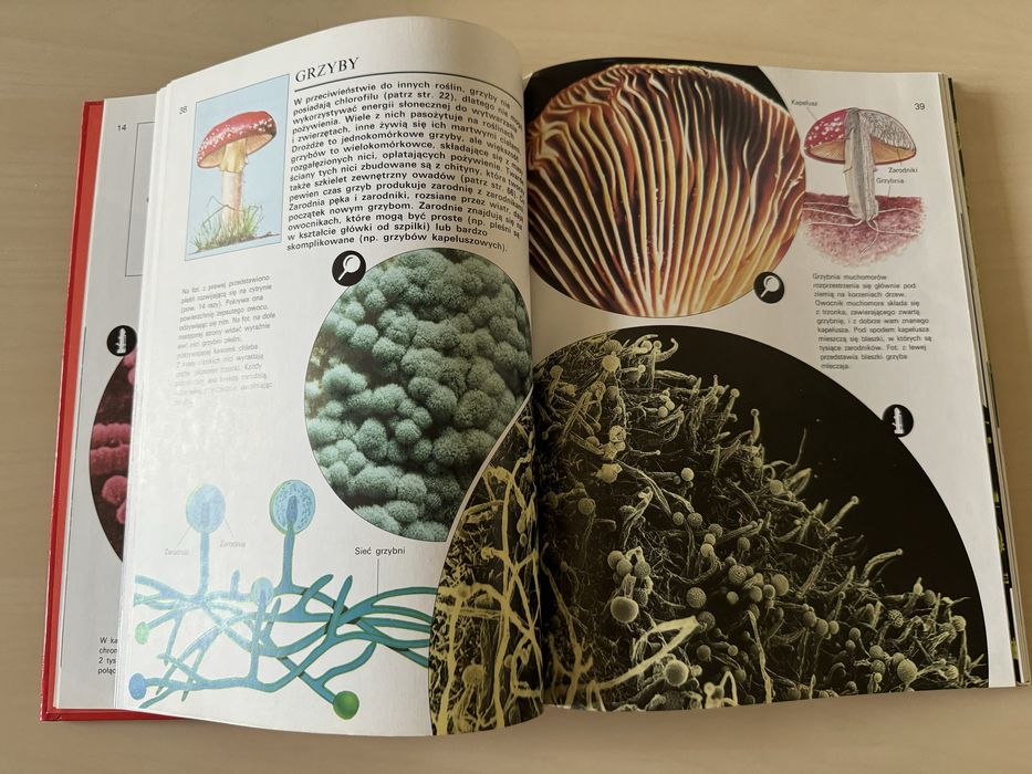 Świat pod mikroskopem