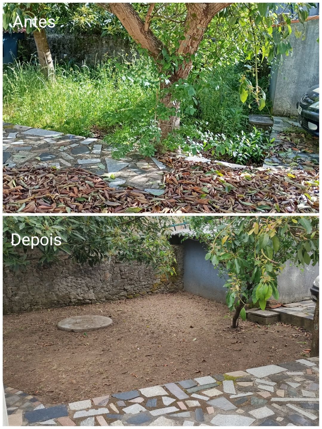 Jardinagem e Limpeza de terrenos
