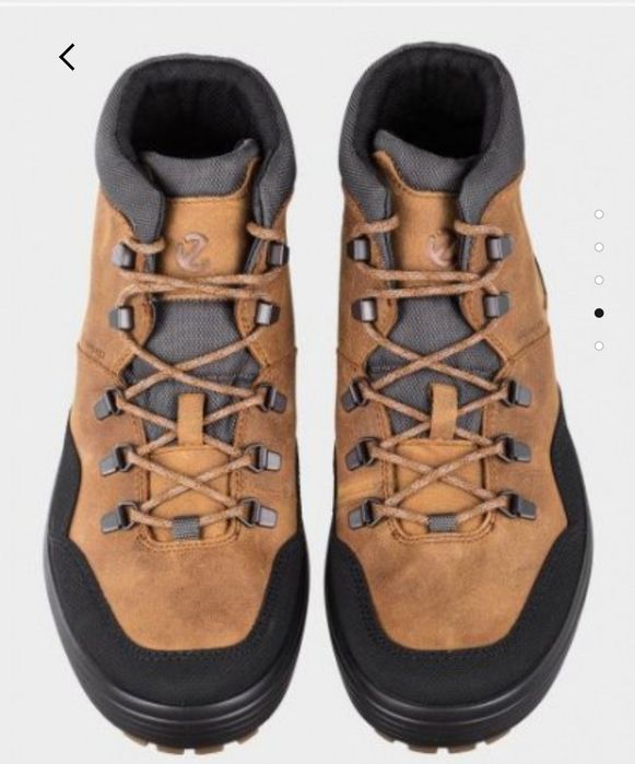 Ботінки чоловічі ecco