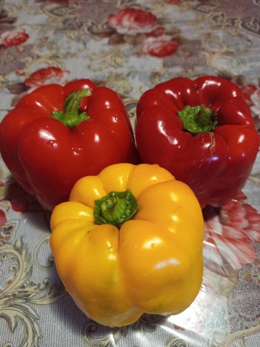 Якісне свіже домашнє насіння овочів та квітів.