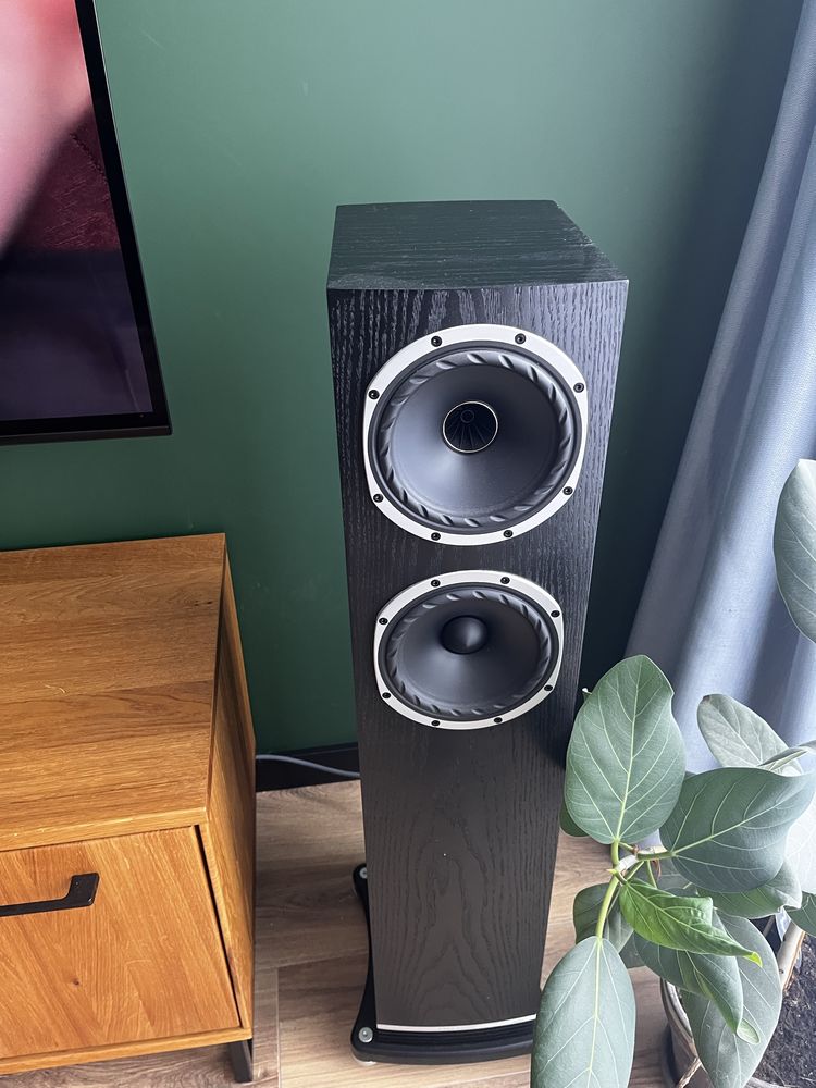 Kolumny fyne audio f501n