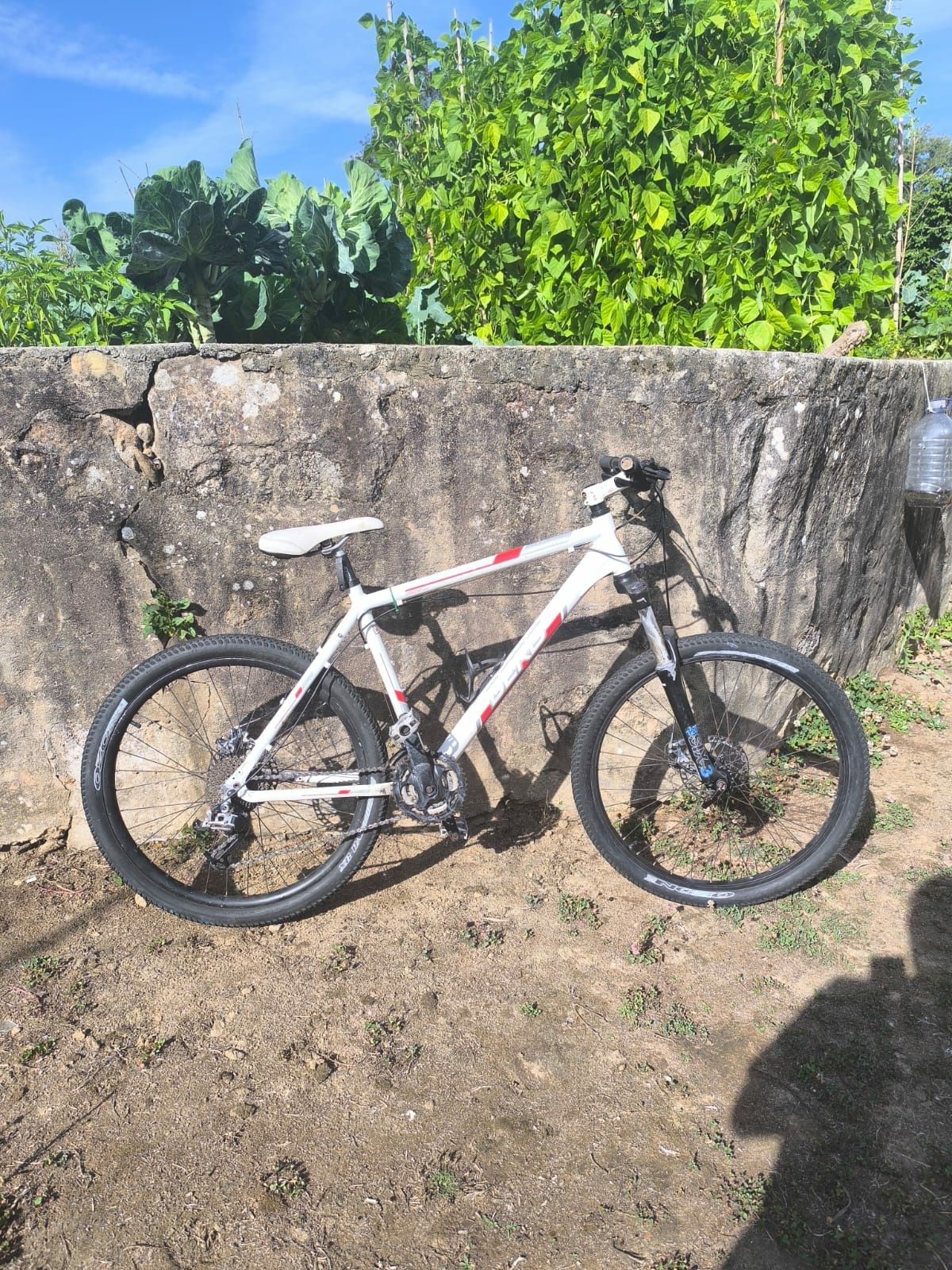 Bicicleta Berg Trailrock