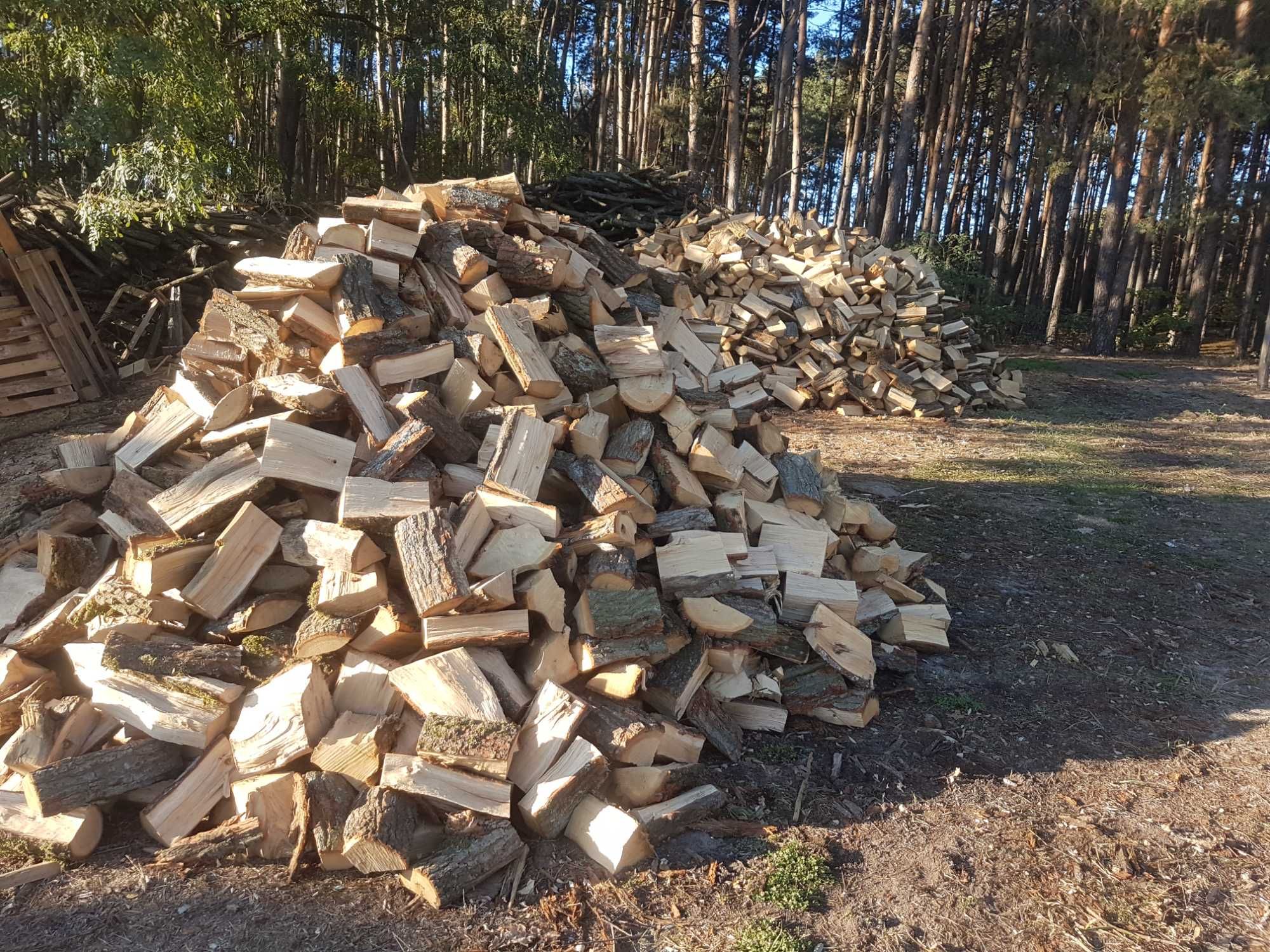 Drewno , drzewo kominkowe - opałowe