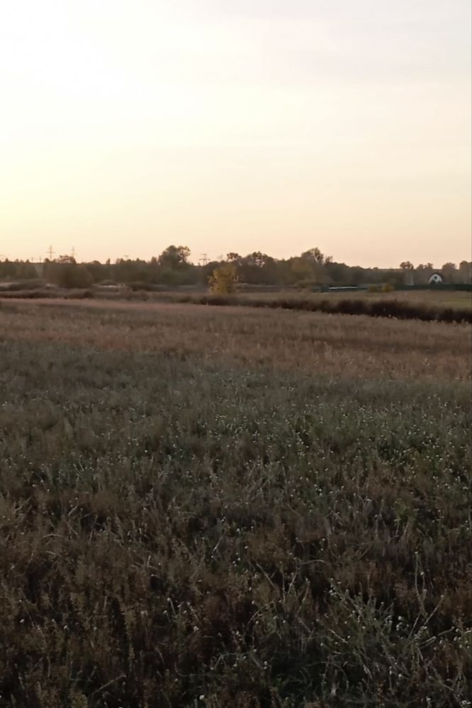 Продається ділянка, Нові Петрівці, 83сот.