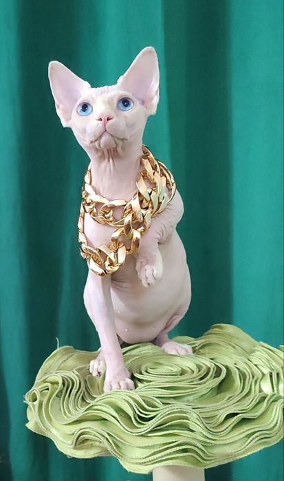 Голубоокий чудний хлопчик