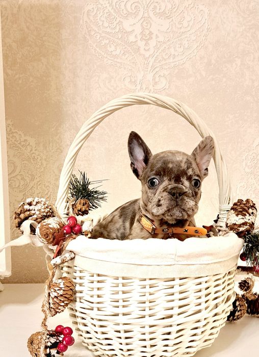 Терміново!!!Супер дівчинка