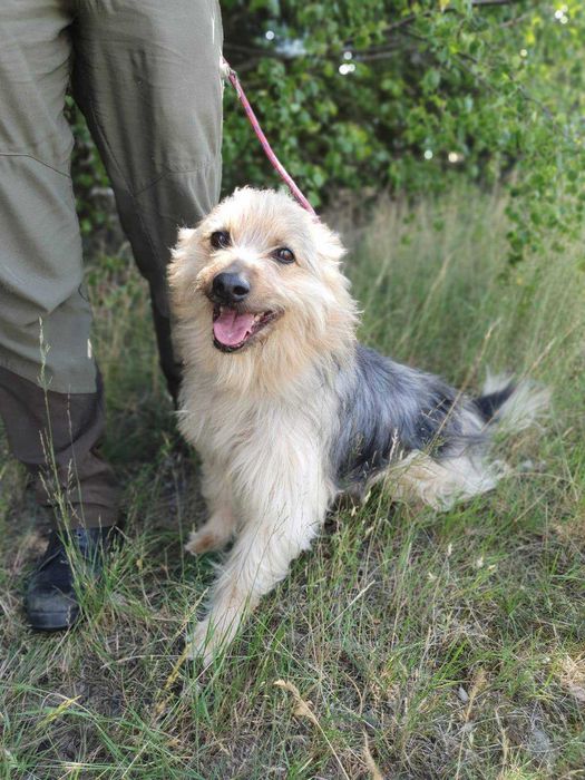 TOLA i MEDI szukają wspólnego domu