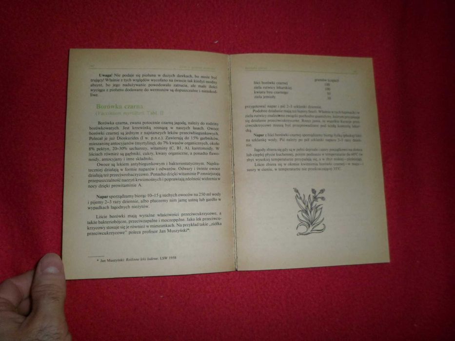 Ziółka i my - Irena Gumowska