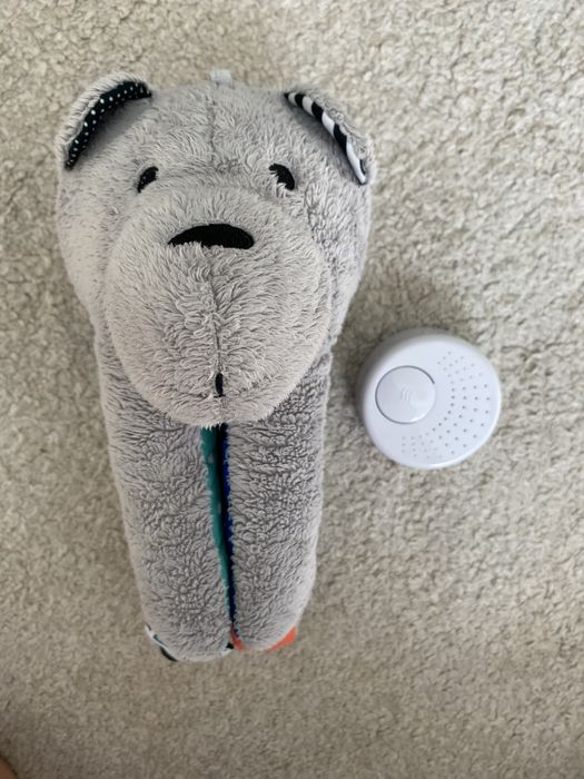 Szumis whisbear generator szumu