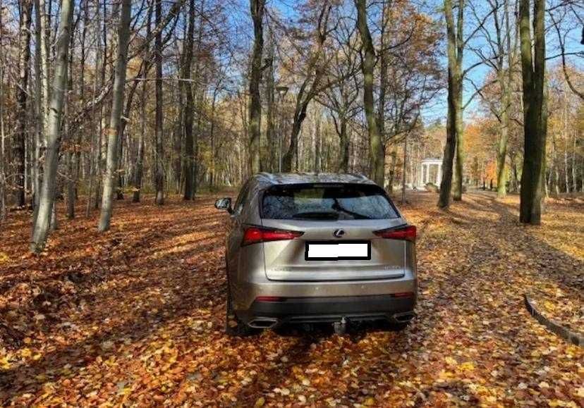 Lexus NX 300 Elegance Optimum AWD