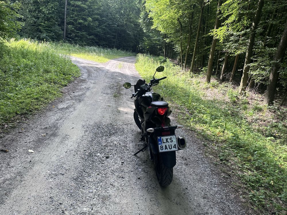 Suzuki gsx-s 125
