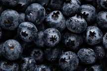 Mirtilos €6/kg 100% biológicos