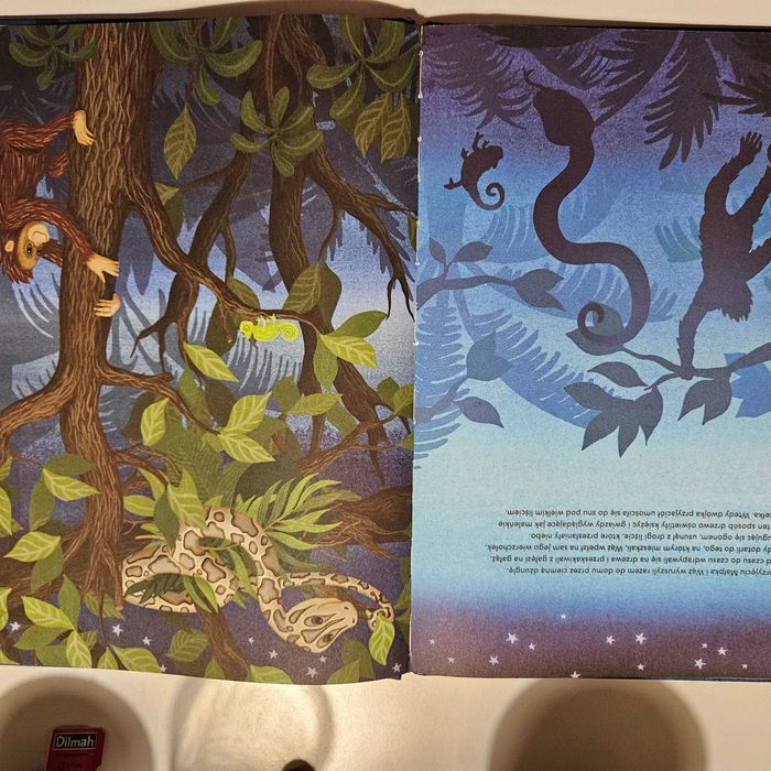 Książka "Małpka, która się bała"