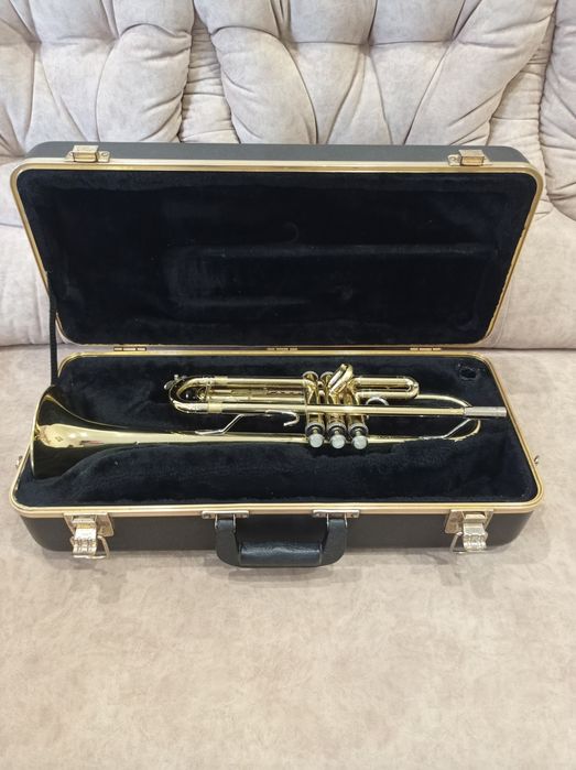 Продаж труба Бах 300,в гарному стані, все працює, без пайки,