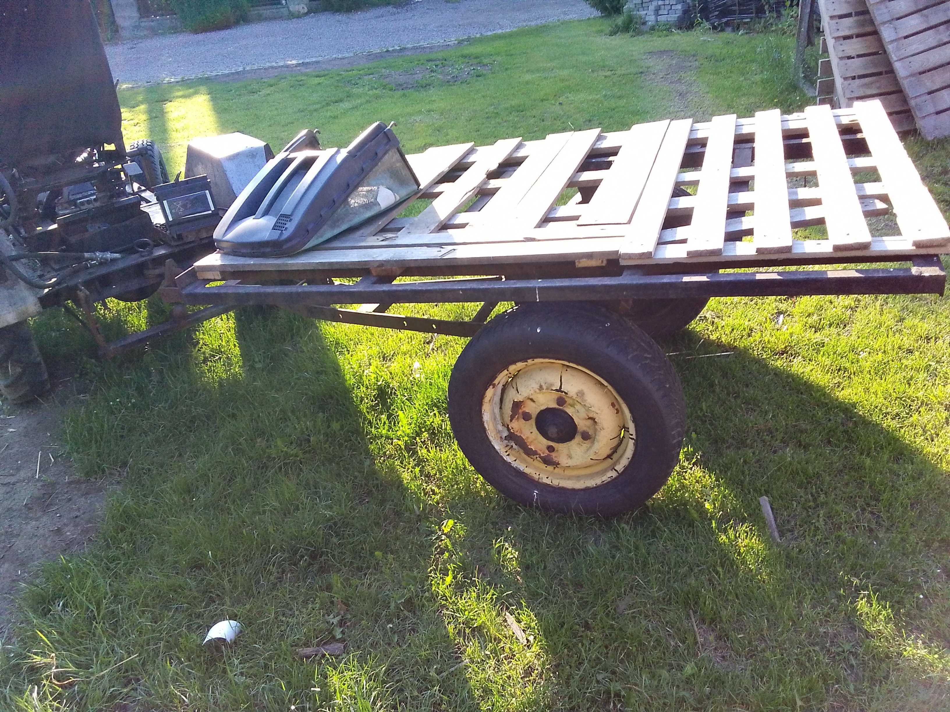 Sam S10 Andrychowski Muscel