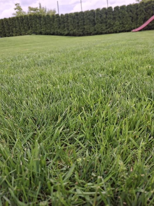 Usługi ogrodnicze,sprzęt ogrodniczy